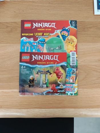 Lego ninjago dragons rising Neuf