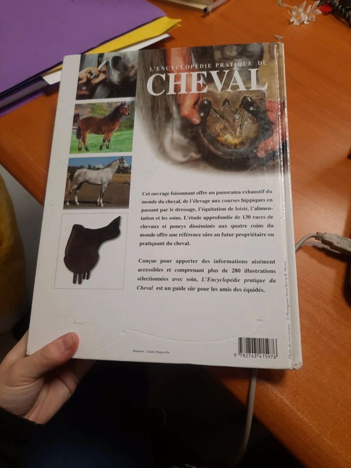 Cheval - photo numéro 7