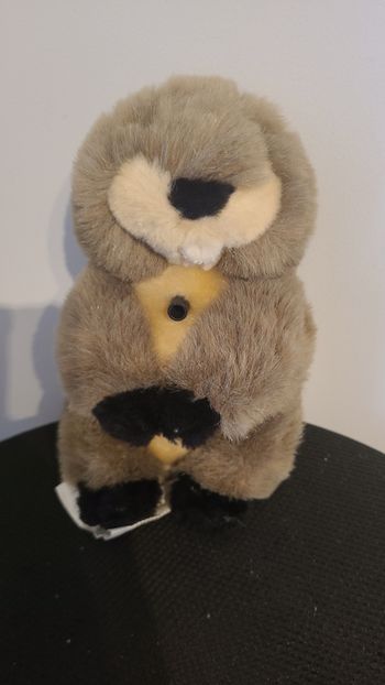 peluche marmotte siffleuse startoy - doudou marmotte castor 30 cm