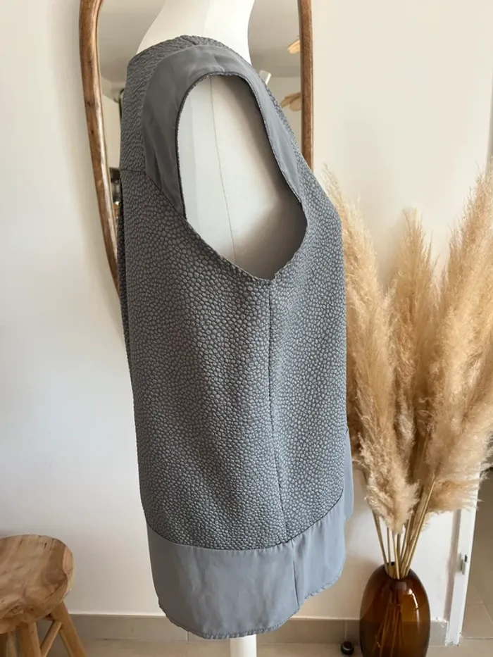 Blouse manches courtes grise Scarlet Roos - photo numéro 5
