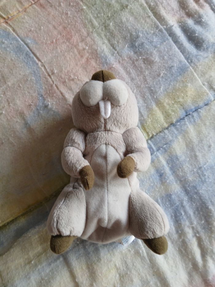 Peluche marmotte