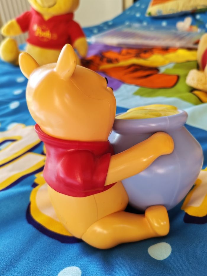 Winnie lumière - photo numéro 2