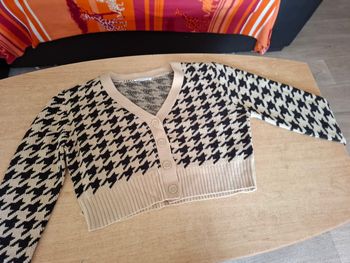 Veste en laîe
