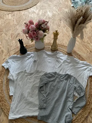 Lot 5 maillots de corps