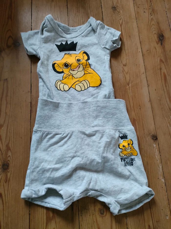 Ensemble Disney Simba