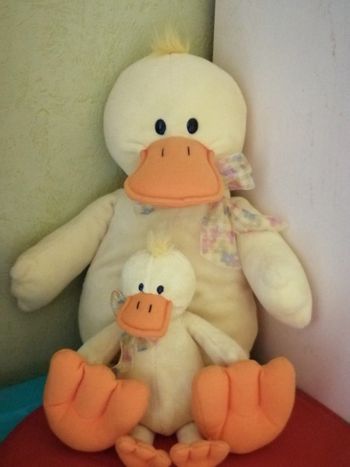 Maman canard et son petit