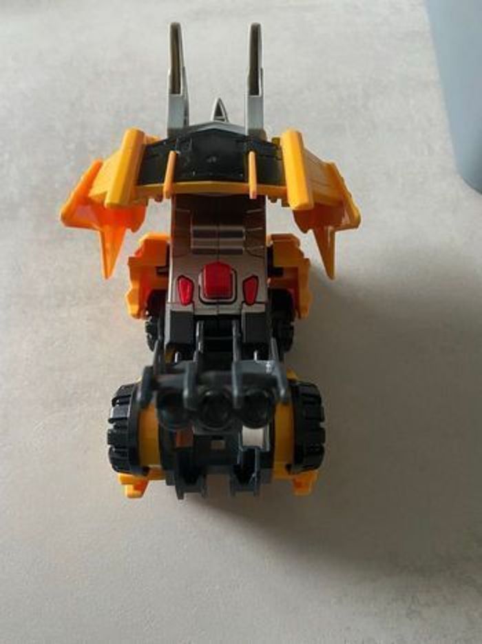 Molops super tricératops - photo numéro 3