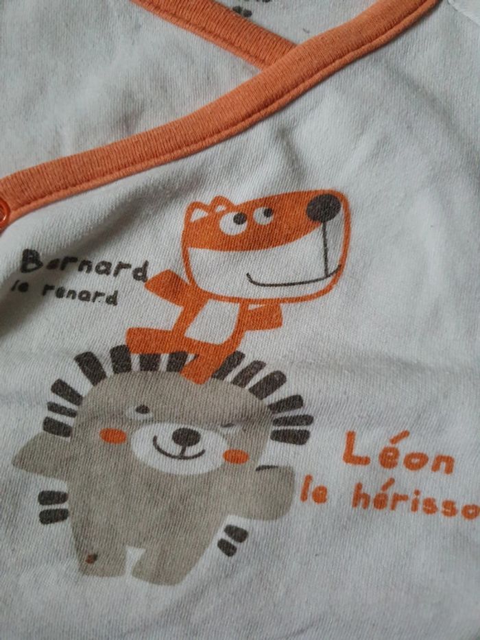 Lot bodies 1mois - photo numéro 2