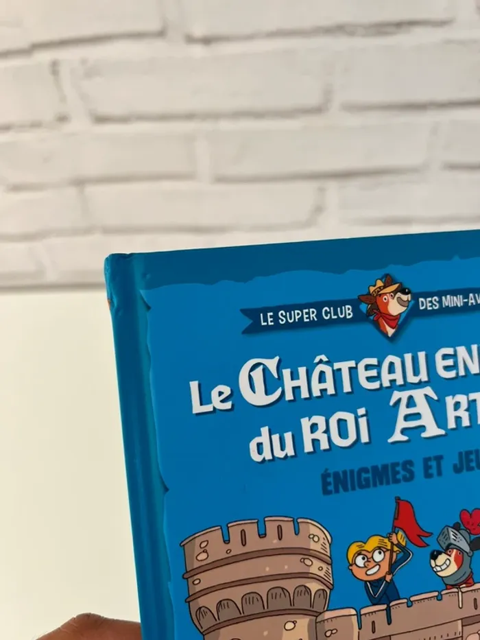 Livre enfant – Le château du roi Arthur - photo numéro 5