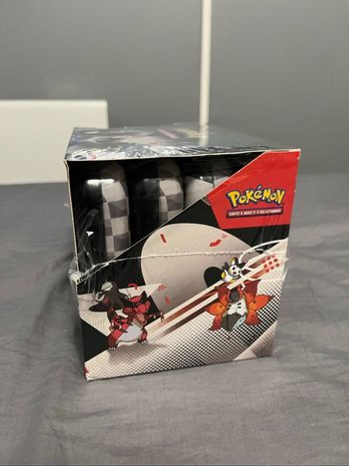 Display complète de Mini Tins Pokémon – Foudre Noire & Flamme Blanche - photo numéro 2