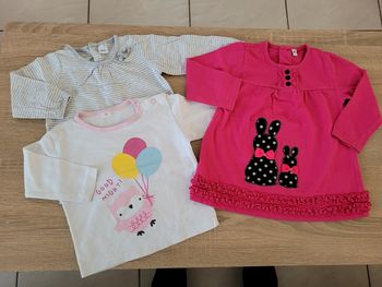 Lot de 3 tee-shirts fille en 12 mois