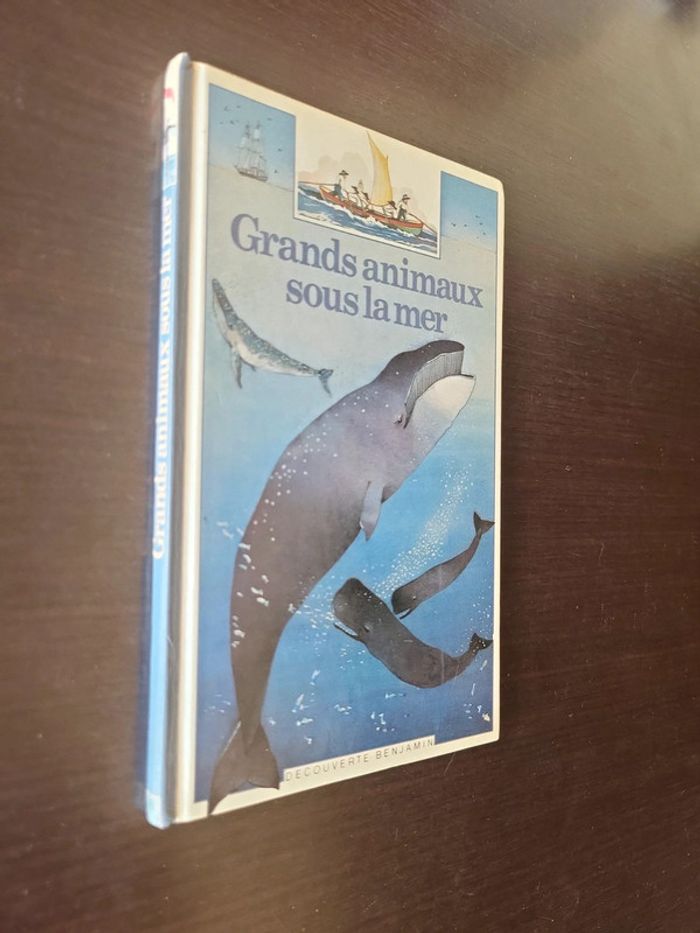 Grands animaux sous la mer - photo numéro 3