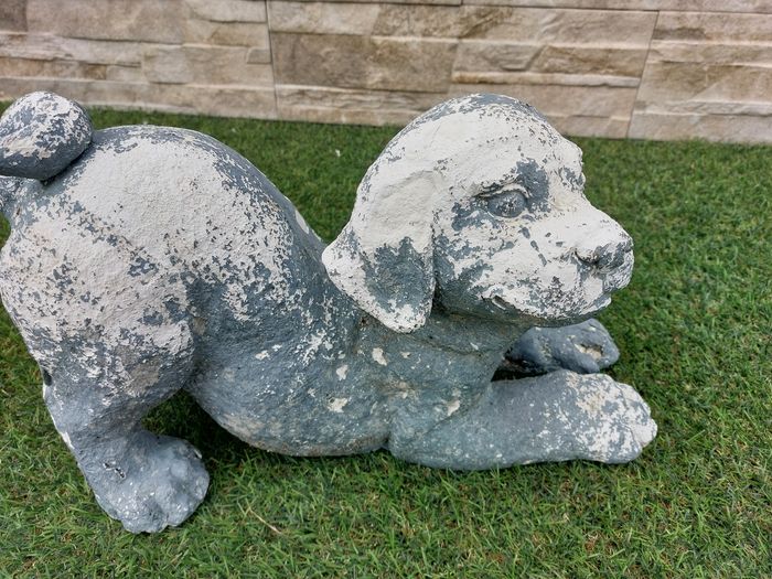 Chien décoration extérieure - photo numéro 5