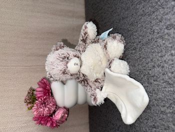 Doudou ours
