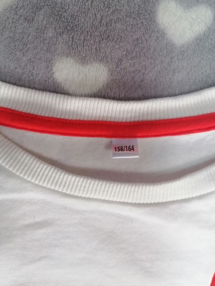 Pull sweat-shirt 🤍🧡🤎 garçon 14  ans - photo numéro 3