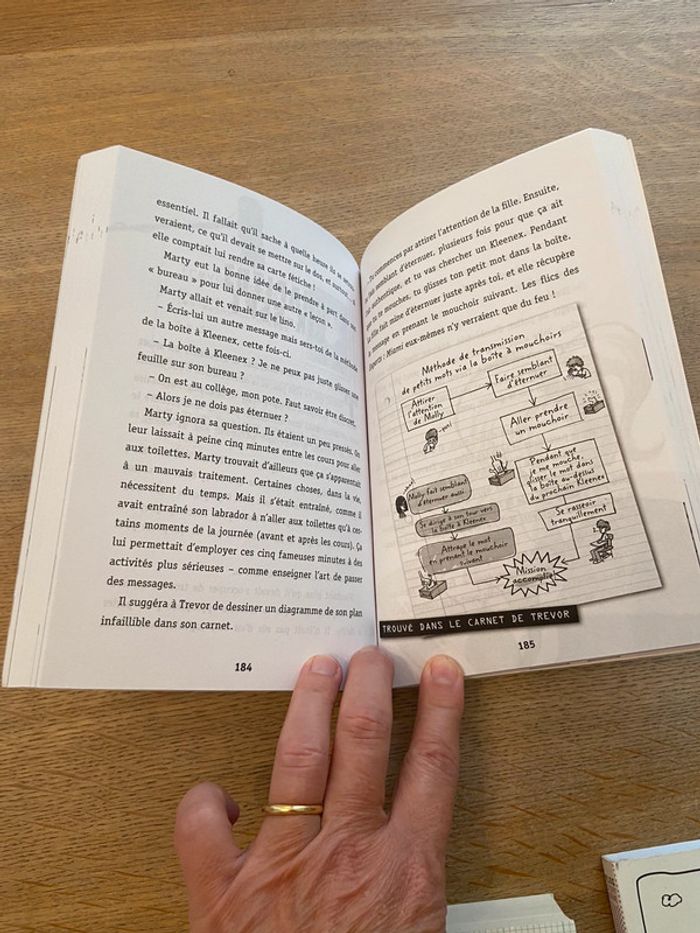 Lot de romans et guides pour l’entrée en 6e - photo numéro 12