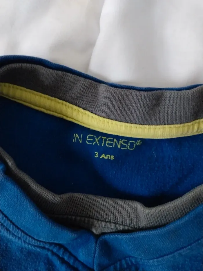 Tee-shirt manche longue garçon 3 ans In Extenso - photo numéro 3
