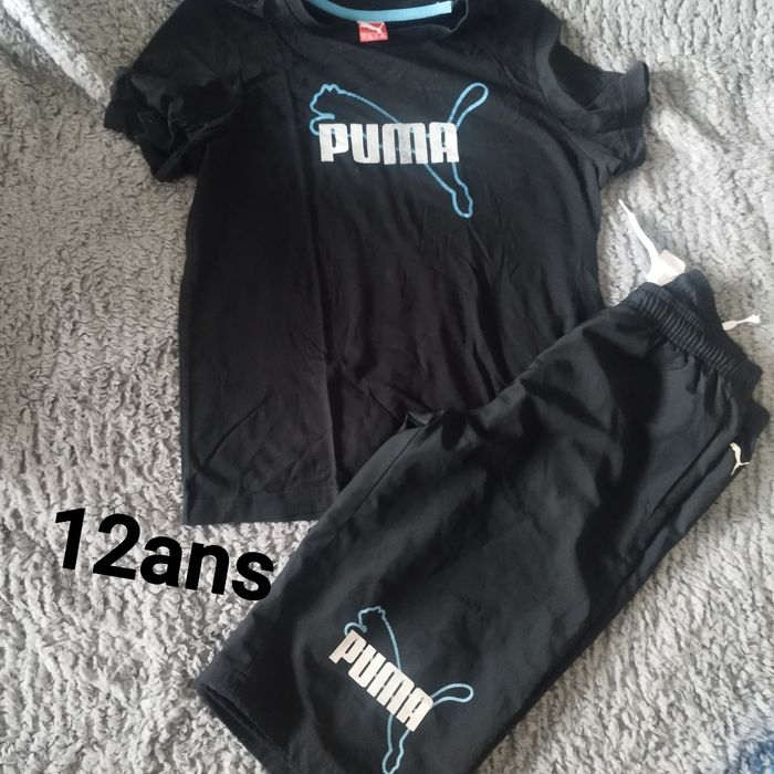 Ensemble puma