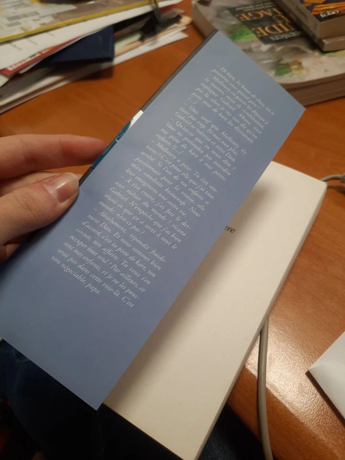 Livre bourdin - photo numéro 7