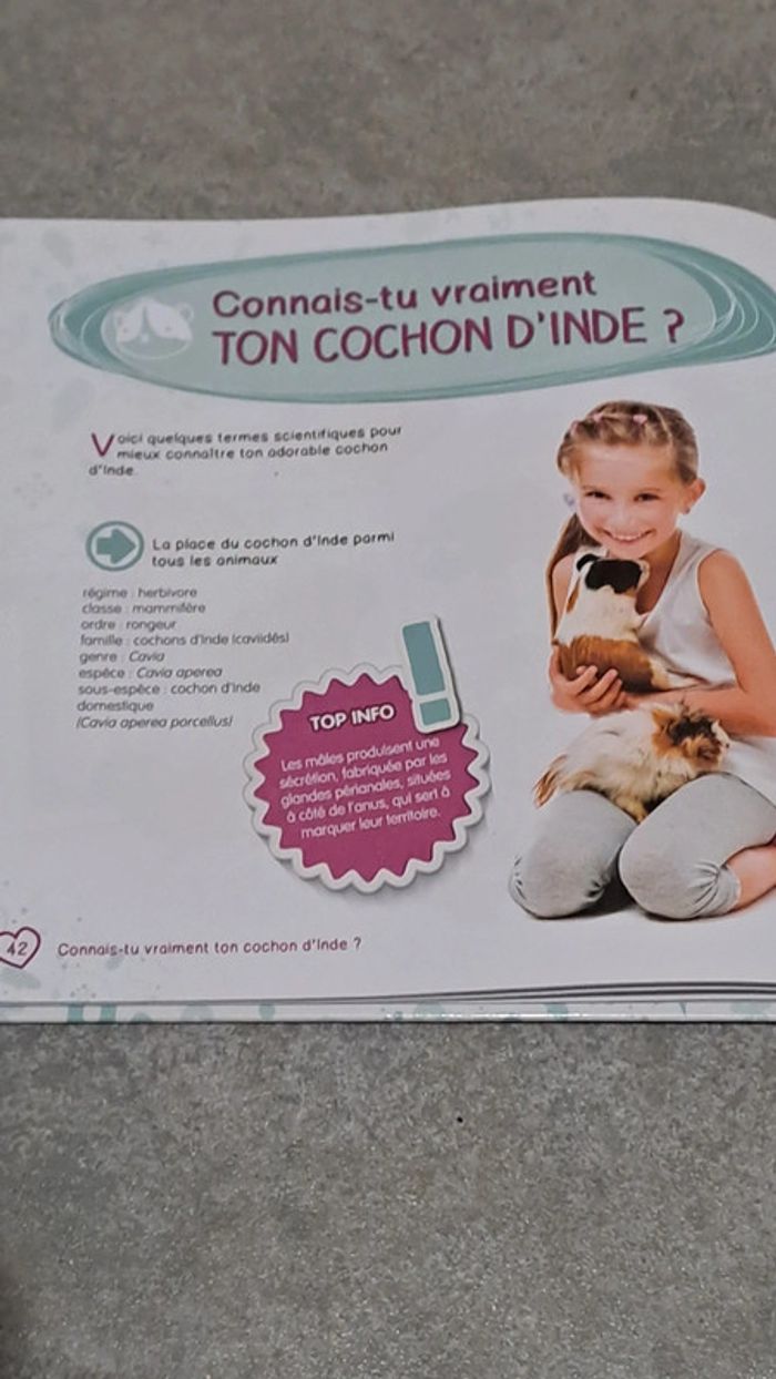 J'aime mon cochon d'inde - photo numéro 2