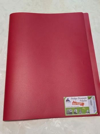 Protège-documents  de 60 vues.