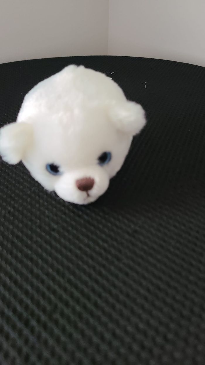 ourson - photo numéro 4