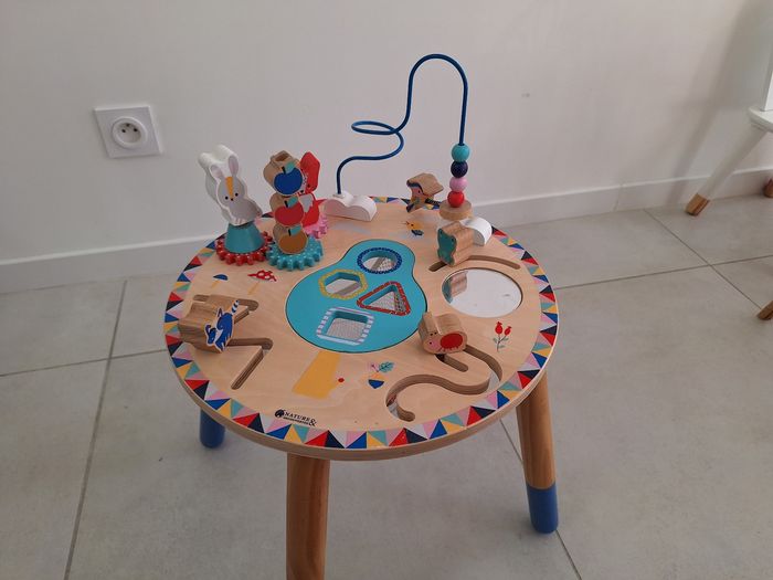 Table d'activités et d'éveil nature et découvertes - photo numéro 5