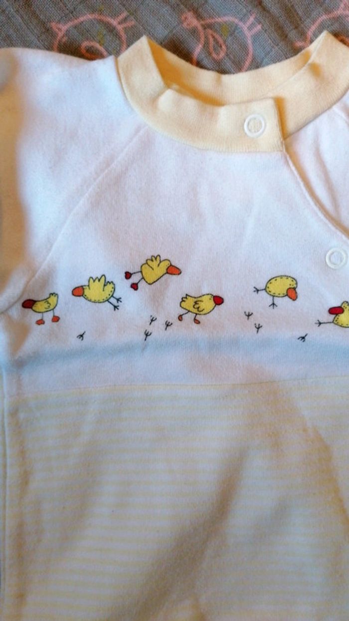 Grenouillère poussins - photo numéro 2