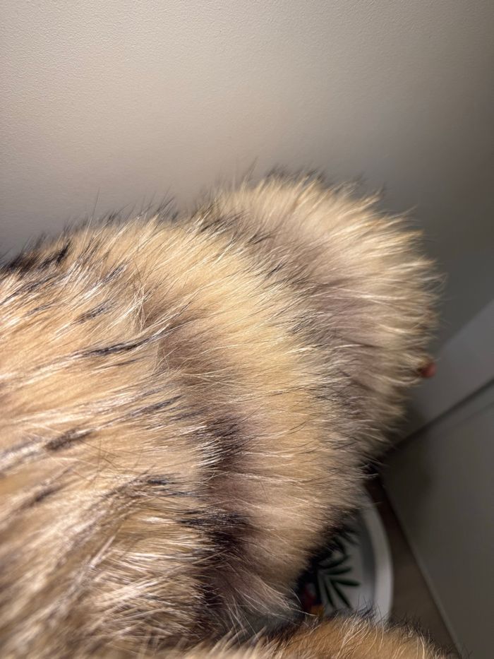 Fourrure véritable - photo numéro 6