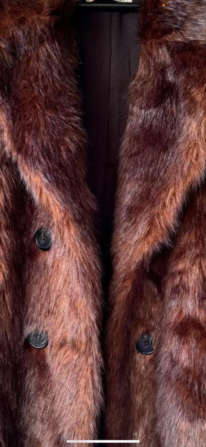 Fausse fourrure Zara - photo numéro 5