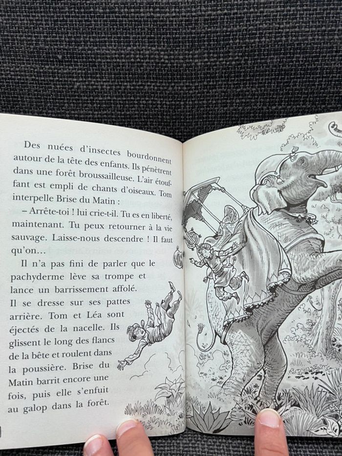 La cabane magique 40 - photo numéro 3