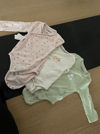 Bodies