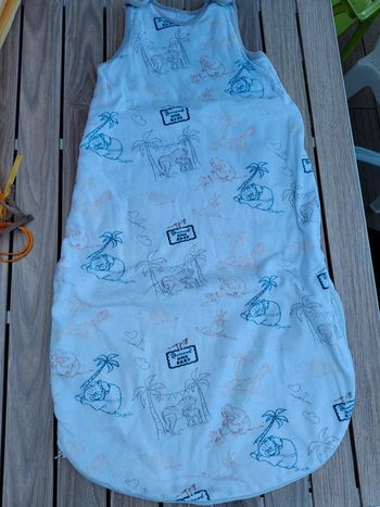 Gigoteuse Disney baby T.6-36 M