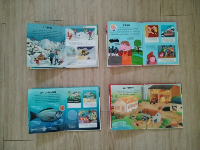 Lot livres la petite imagerie - photo numéro 3