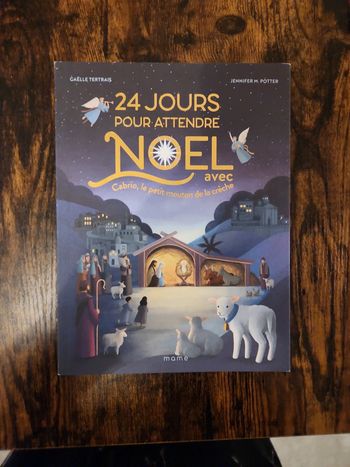 Livre : 24 jours pour attendre Noël