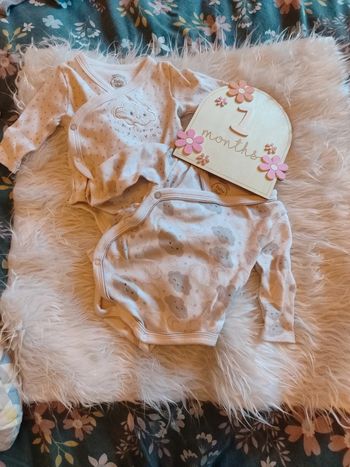 Lot 2 body
