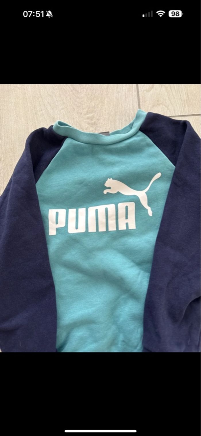 Pull puma - photo numéro 2