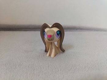 Petshop LPS Chien Lévrier Afghan n°2753 - Authentique Hasbro
