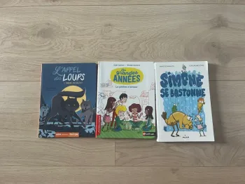 Premiers romans : l’appel des loups, les grandes années et Simone se bastonne