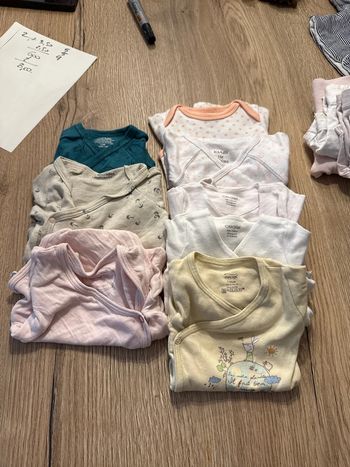 Lot 8 body