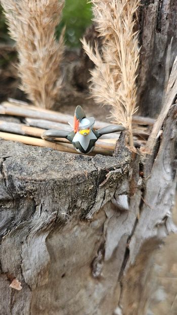 Super figurine Pokemon Nintendo Etouraptor