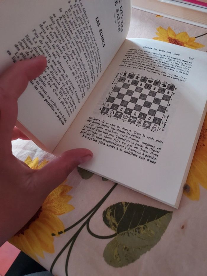 Jolie livre sur les règles du jeu - photo numéro 3