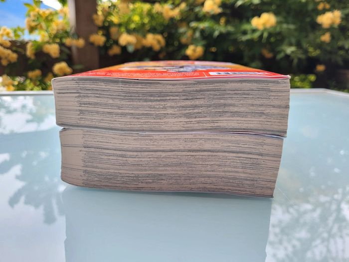 2 Mangas Pokémon : La Grande Aventure volumes 1 et 2, Kurokawa (28) - photo numéro 7