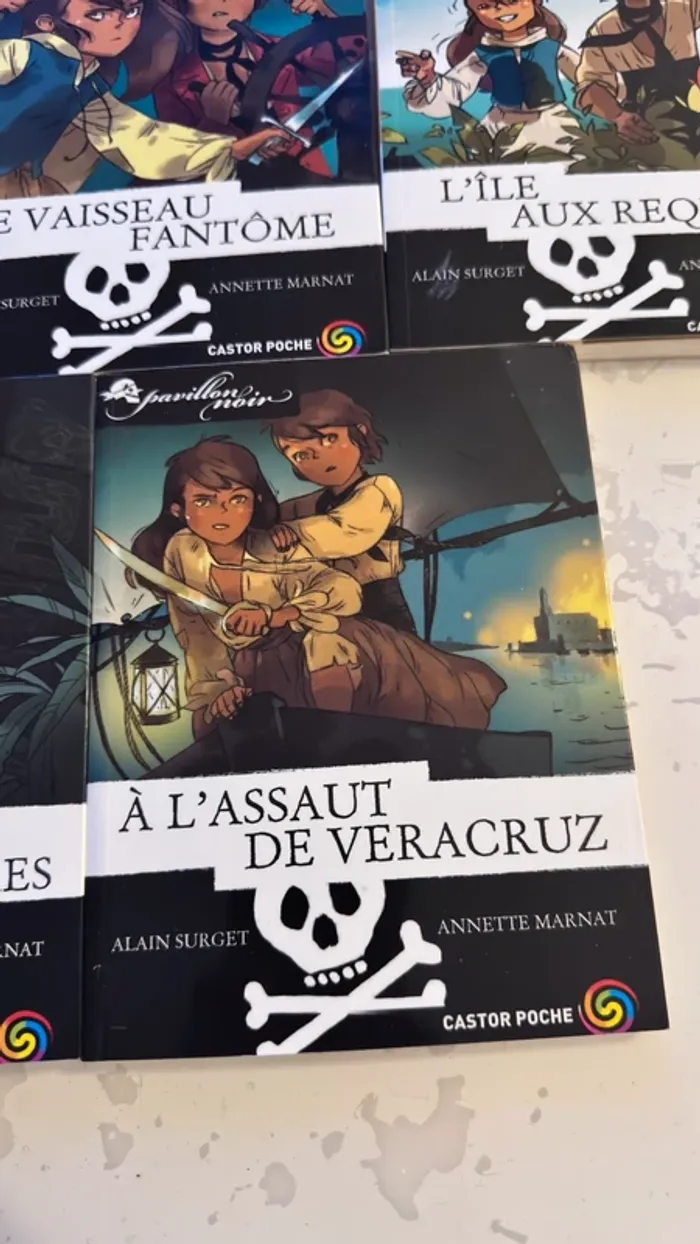 📚 Lot complet – Collection Les Frères Faucons 5 tomes – Alain Surget / Annette Marnat - photo numéro 12