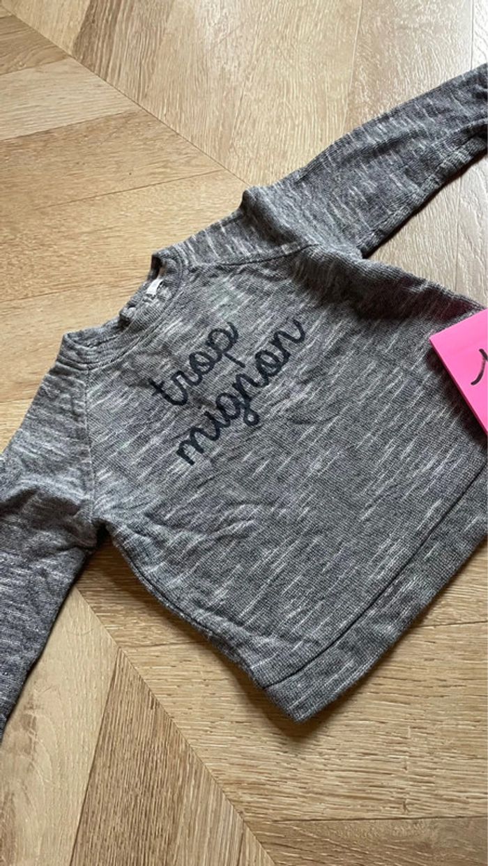 Lot t-shirt et pull 12 18 mois - photo numéro 2