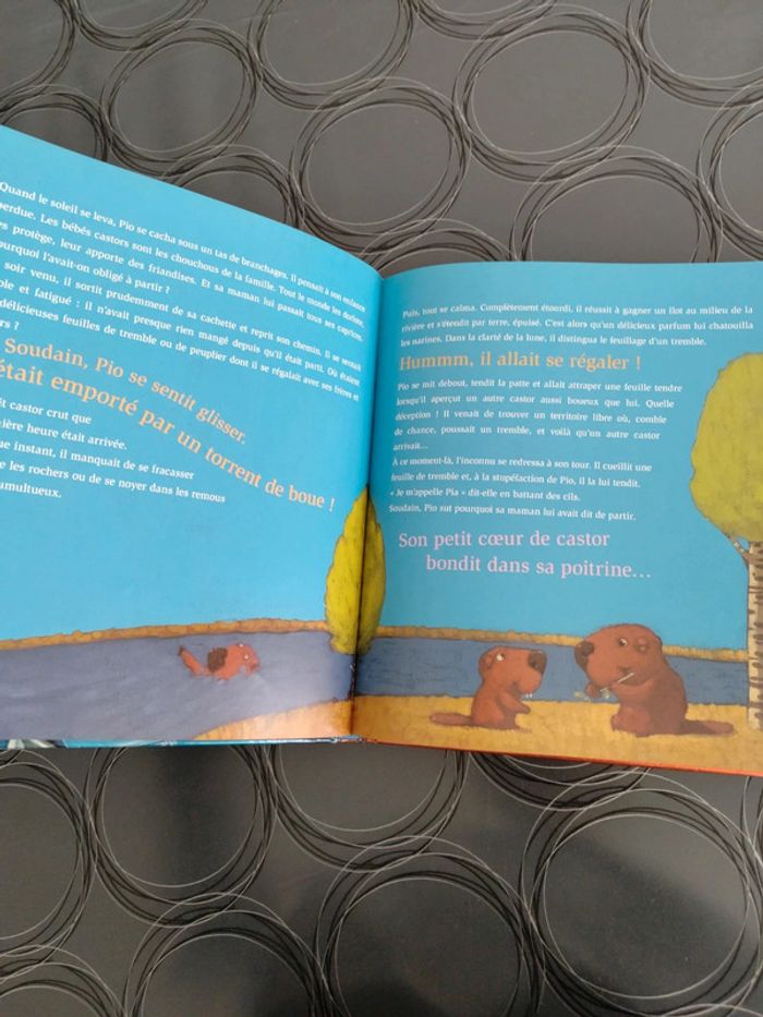 Livre de contes pour enfants complètement neuf - photo numéro 3