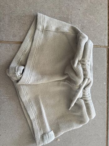 Short vert sauge