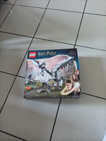Lego Harry Potter 76427 boîte vide !