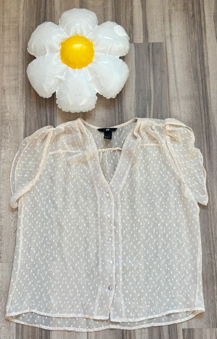 Chemise transparente