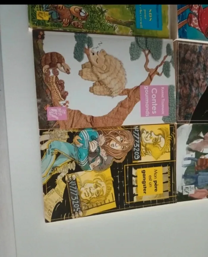 Livres pour enfants , romans jeunesse - photo numéro 3